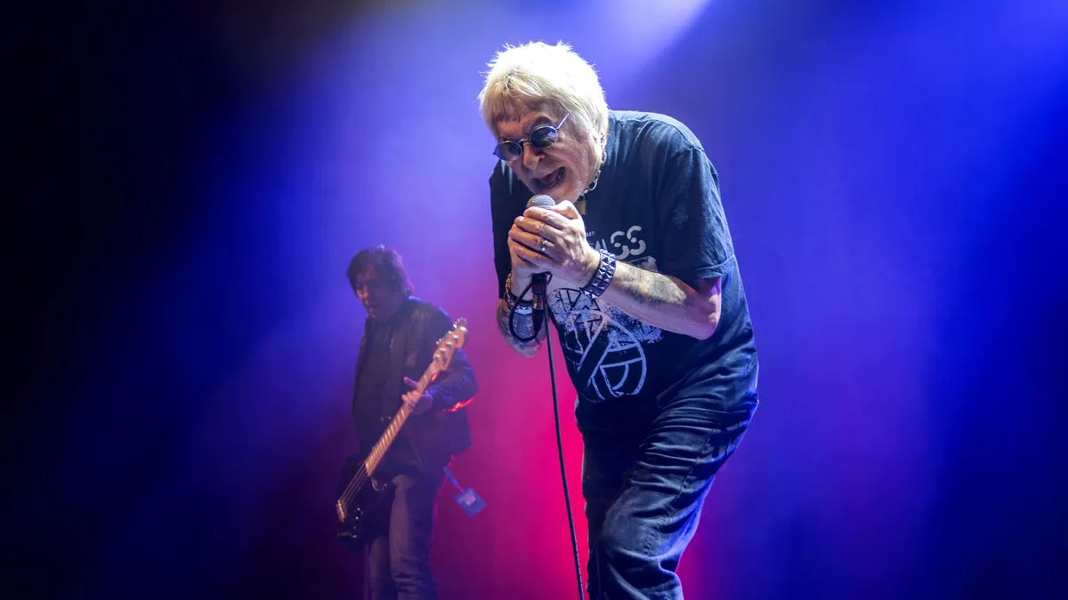 UK Subs